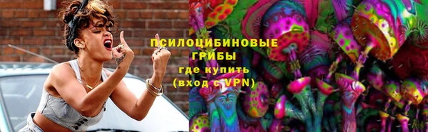 стаф Алексеевка