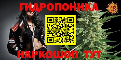 тгк Канаш