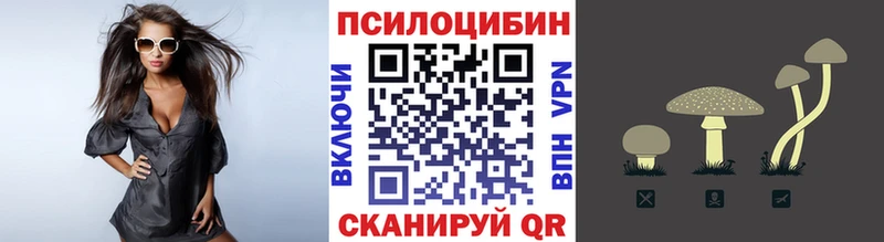 ссылка на мегу онион  Кудрово  Псилоцибиновые грибы Cubensis 