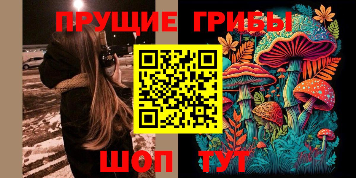 Галлюциногенные грибы GOLDEN TEACHER  дарнет шоп  Галлюциногенные грибы Cubensis  Кудрово  Вход с VPN 