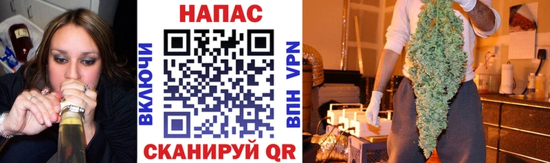 купить   Кудрово  Марихуана Bruce Banner 
